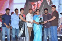 Sarileru Neekevvaru Blockbuster Ka Baap Celebrations Photos